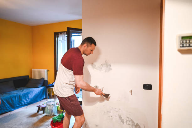 Best HVAC Mold Remediation in El Cerrito, CA